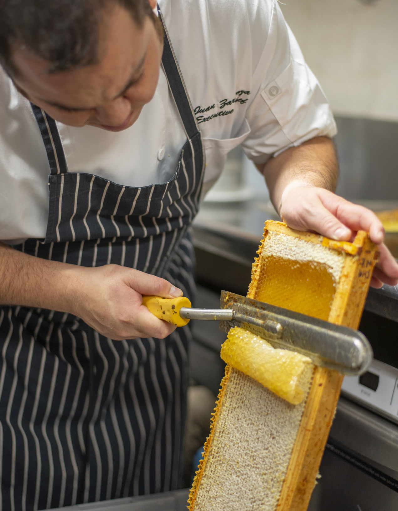 A sweet deal for hotels: Hosting honeybees